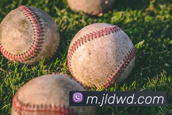 问鼎28APP 封面图